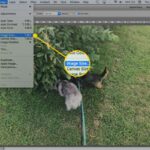 Best Practices for Saving Web Images in Photoshop
