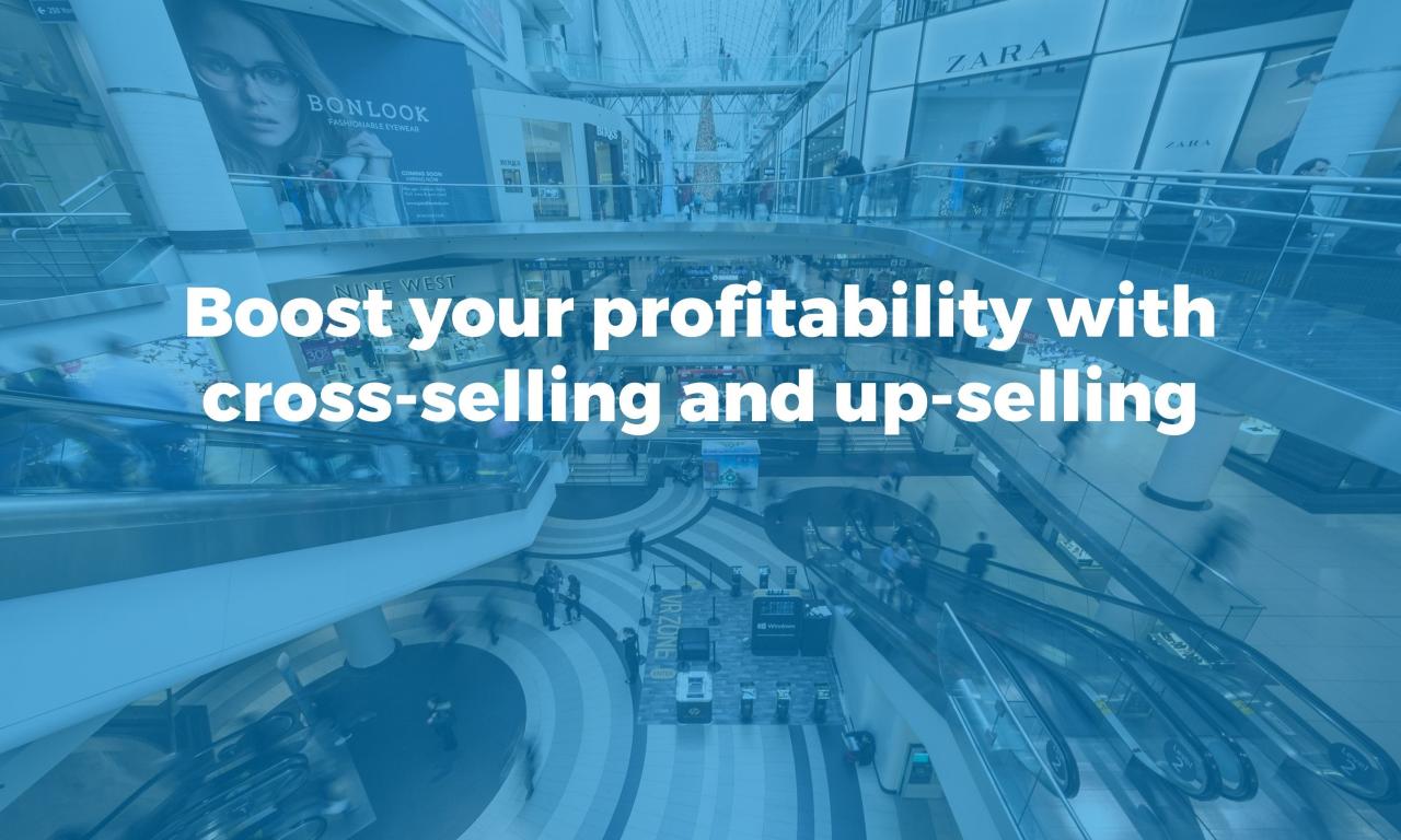 Cross-Selling and Upselling Strategies Informed by BI