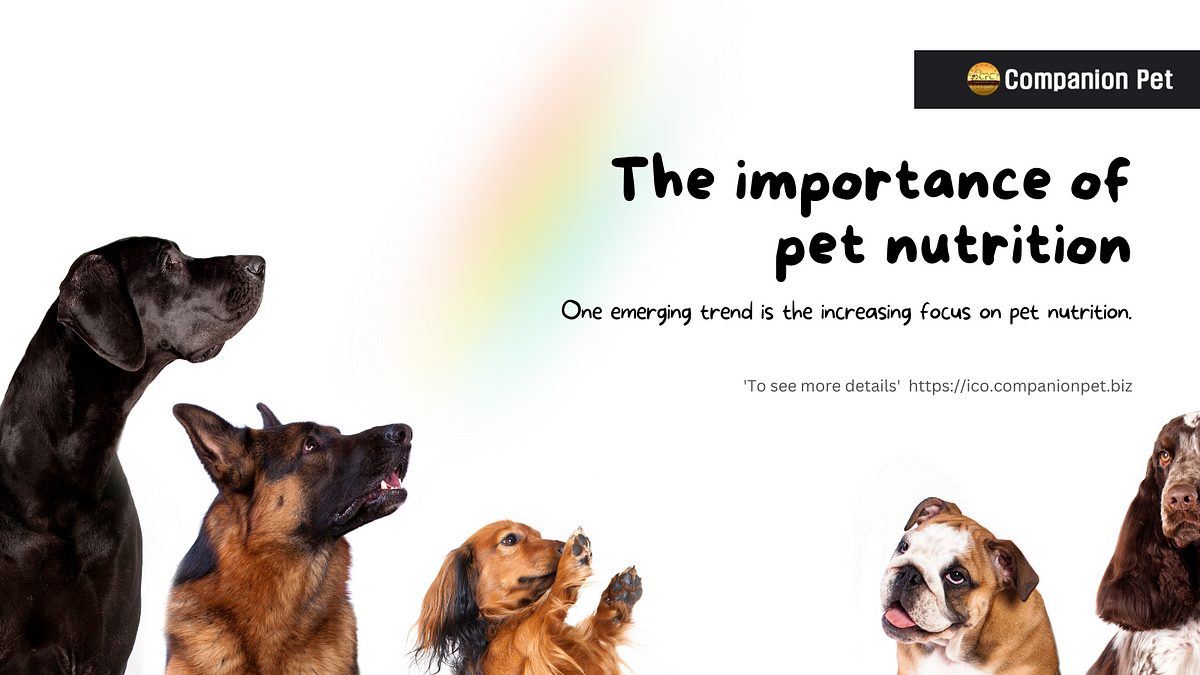 Pet Food Tips: ensure your pet gets necessary nutrients • The Koala Mom The Importance of Nutritional Pet Food