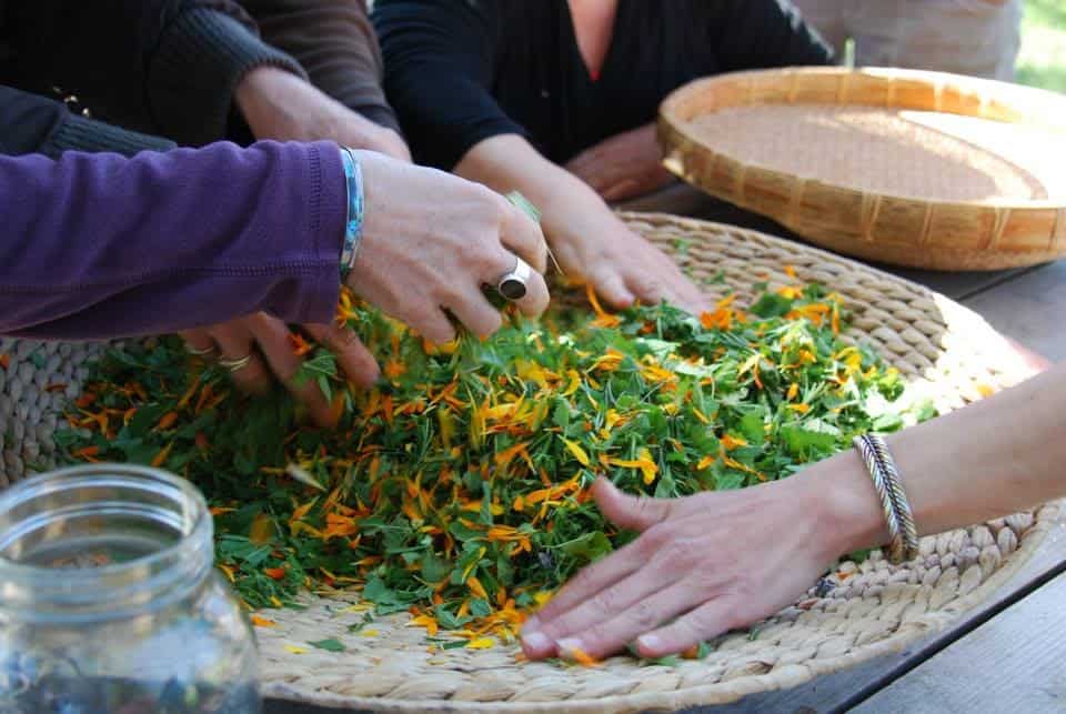 How to Build a Daily Ritual With Herbal Supplements