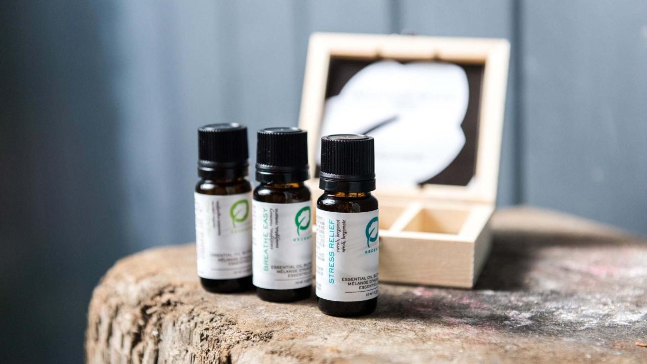 10 Aromatherapy Basics Beginners Should Know – Escents The Ultimate Guide to Aromatherapy Products for Beginners