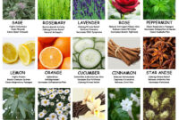 Aromatherapy for Anxiety Which Oils Are Most Effective