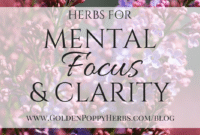 The Essential Oils You Need for Promoting Mental Clarity and Focus