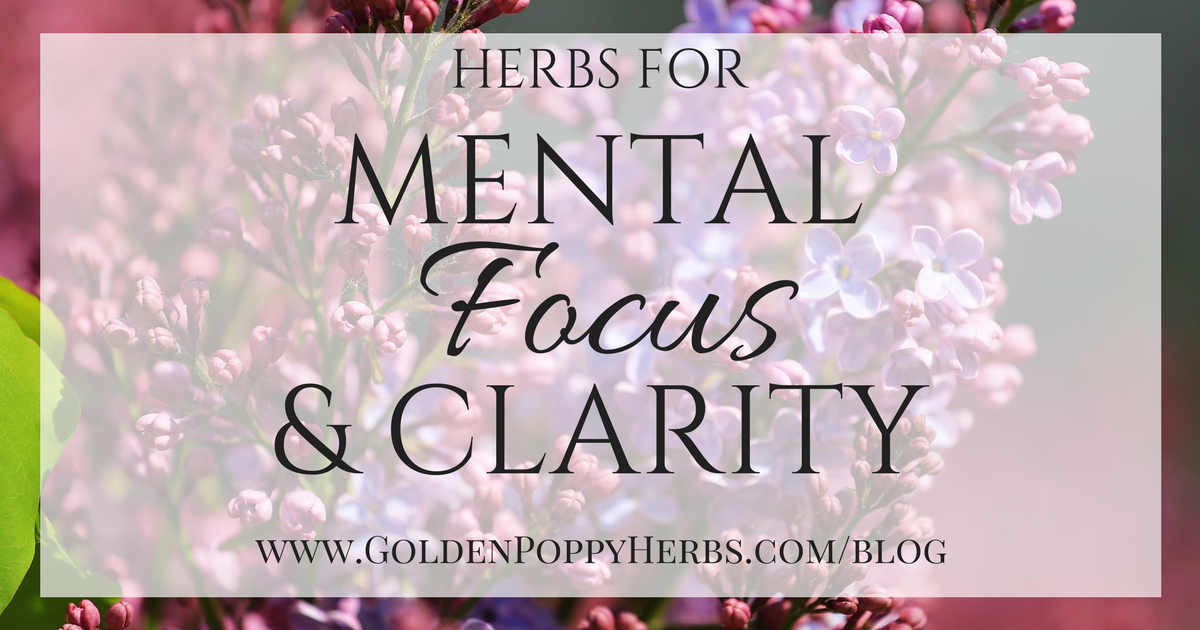 The Essential Oils You Need for Promoting Mental Clarity and Focus